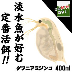 https://thumbnail.image.rakuten.co.jp/@0_mall/fish-neos/cabinet/-9/a18-281214-9_1.jpg