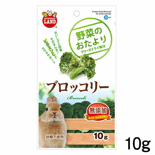 マルカン　野菜のおたより ブロッコリー　10g　ML-81【おやつ/餌/えさ/エサ】【ハムスター/うさぎ/リス..