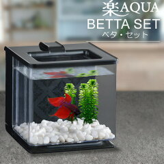 https://thumbnail.image.rakuten.co.jp/@0_mall/fish-neos/cabinet/00/set1100_1.jpg