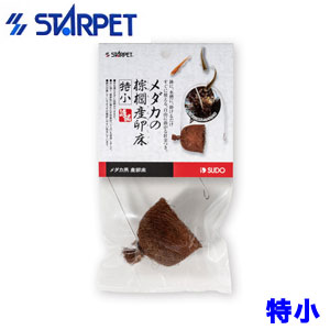 スドー　メダカの棕櫚（しゅろ）産卵床（特小)S-5783 【新着】【水槽/熱帯魚/観賞魚/飼育】【生体】【通販/販売】【アクアリウム/あくありうむ】