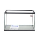 【鈴木製作所】ガラス水槽 60cm水槽レギュラーサイズ 600×295×360mm 【お取り寄せ品】【水槽セット/飼育セット/水槽/熱帯魚/観賞魚/飼育/通販/...