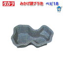 タカラ みかげ調プラ池 ベビ18 左右向き指定不可【水槽/熱帯魚/観賞魚/飼育】【生体】【通販/販売】【アクアリウム/あくありうむ】【小型】