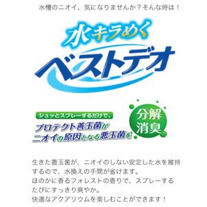 GEX ベストデオ 消臭ミスト 250ml【水...の紹介画像2