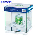 コトブキ AQXT CUTE 22(アクストキュート22) 【水槽/熱帯魚/観賞魚/飼育】【生体】【通販/販売】【アクアリウム/あくありうむ】【小型】