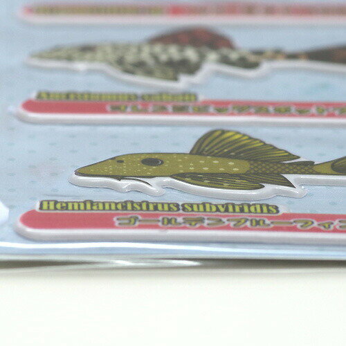 �ȥ��ԥ���ե��å���ǥ������롡�����ץ쥳��Vol.1�ڿ���/Ǯ�ӵ�/�Ѿ޵�/����ۡ����Ρۡ�����/����ۡڥ������ꥦ��/�������ꤦ��ۡھ�����