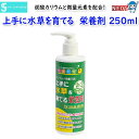 ソネケミファ 上手に水草を育てる 栄養剤250ml