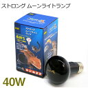 ゼンスイ　ストロング ムーンライトランプ　40W　【取寄商品】【水槽/熱帯魚/観賞魚/飼育】【生体】【通販/販売】【アクアリウム/あくありうむ】【小型】