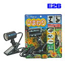 レップジャパン クリップスタンド ひまわり