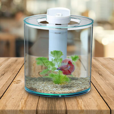 Neos 楽天市場 アクアリウムのエキスパート ネオス 熱帯魚 水草 アクア用品 両生類 爬虫類用品 水槽 Neos 楽天市場 アクアリウムのエキスパート ネオス 熱帯魚 水草 アクア用品 両生類 爬虫類用品 水槽