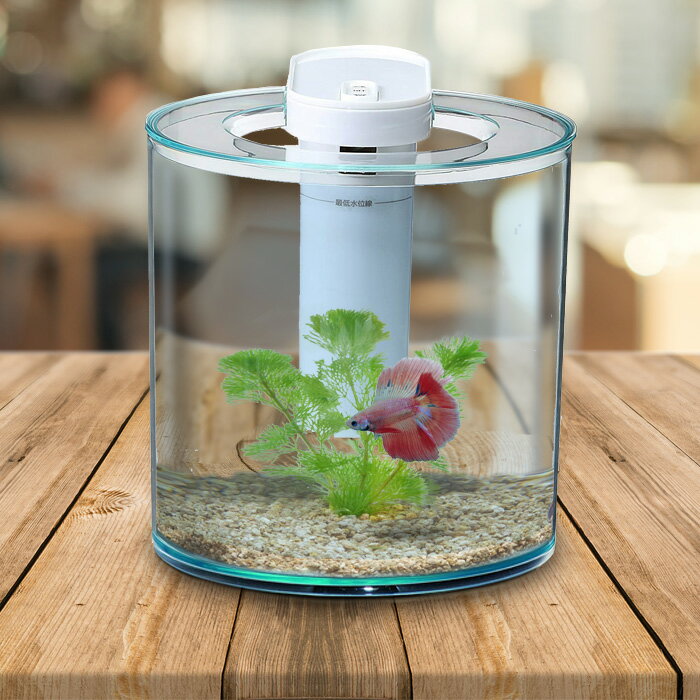 Neos 楽天市場 アクアリウムのエキスパート ネオス 熱帯魚 水草 アクア用品 両生類 爬虫類用品 水槽