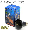 ゼンスイ ストロング ムーンライトランプ 60W 【取寄商品】【水槽/熱帯魚/観賞魚/飼育】【生体】【通販/販売】【アクアリウム/あくありうむ】【小型】