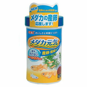 GEX　メダカ元気 産卵・育成用フード 100g 【餌 えさ エサ】【観賞魚　餌やり】【水槽/熱帯魚/観賞魚/飼育】【生体】【通販/販売】【アクアリウム/あくありうむ】【小型】