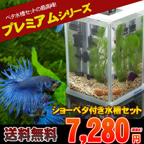 【水槽set】ベタ飼育セット　プレミアム　水槽タイプ【水槽セット】【飼育セット】　【水槽/熱帯魚/観賞魚/飼育/セット水槽/オブジェ】【生体】【通販/販売】【アクアリウム/あくありうむ】【小型】