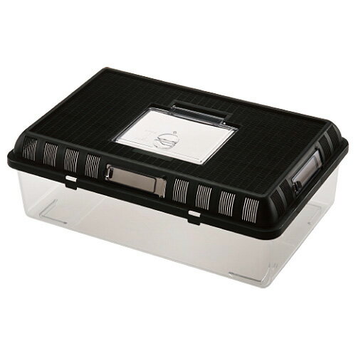 スドー　レプティケース L 　RX-420【水槽/熱帯魚/観賞魚/飼育】【生体】【通販/販売】【アクアリウム/あくありうむ】【小型】 2