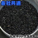 外掛け式　各社フィルター対応　トルマリンクラスター　水質浄化　ろ材　200g　neoroka【水槽/熱帯魚/観賞魚/飼育】【生体】【通販/販売】【アクアリウム/あくありうむ】【小型】