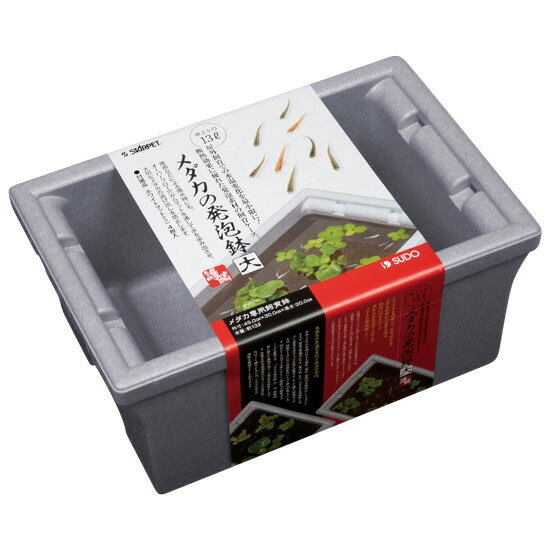 スドーメダカの発泡鉢S-5586