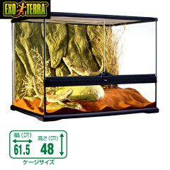 https://thumbnail.image.rakuten.co.jp/@0_mall/fish-neos/cabinet/07/gex251017-7_1.jpg