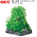 GEX　癒し水景 アクアキャンバス プランツ M【水槽/熱帯魚/観賞魚/飼育】【生体】【通販/販売】【アクアリウム/あくありうむ】【小型】