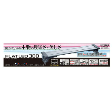 コトブキ フラットLED 300　【水槽/熱帯魚/観賞魚/飼育】【生体】【通販/販売】【アクアリウム/あくありうむ】