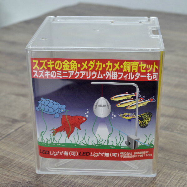 【鈴木製作所】プラケース17×17　蓋つき　約4.5L【水槽/熱帯魚/観賞魚/飼育】【生体】【通販/販売】【..