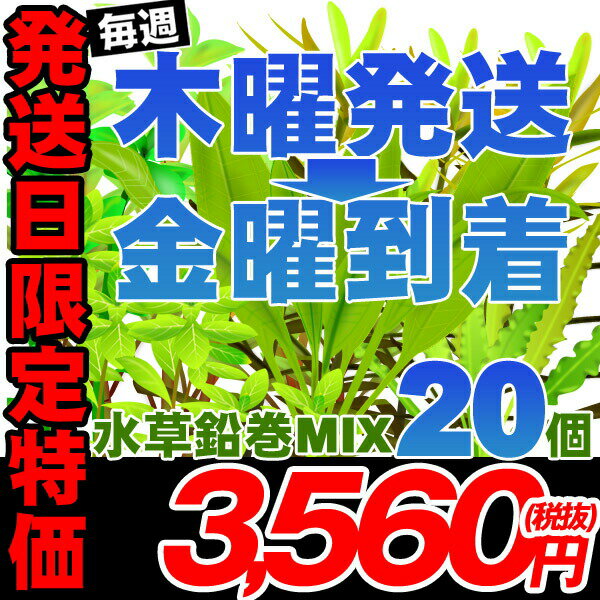 (水草)木曜日出荷限定（金曜日到着となります）おまかせ水草　鉛巻きMIX（ミックス）　（10種以上　20個）