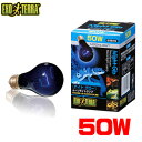 GEX EXO TERRA（エキゾテラ）　ナイトグロームーンライトランプ 50W　PT2126 【水槽/熱帯魚/観賞魚/飼育】【生体】【通販/販売】【アクアリウム/あくありうむ】【小型】