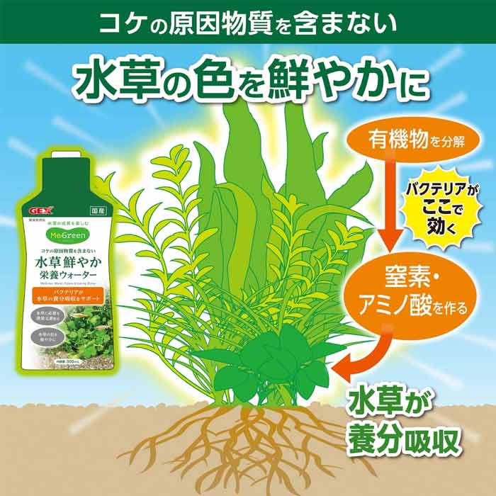 GEX��MeGreen�� �������䤫���ܥ��������� 300mL
