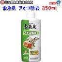 日本動物薬品ニチドウ 金魚泉アオコ除去 250ml【餌 えさ エサ】【観賞魚 餌やり】【水槽/熱帯魚/観賞魚/飼育】【生体】【通販/販売】【アクアリウム/あくありうむ】