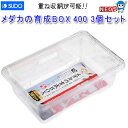 スドー メダカの育成BOX 400 3個入り S-5828