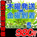 木曜日出荷限定（金曜日到着となります）　水草　鉛巻MIX　5個（5種類）　格安　採れたて 〇毎週木曜出荷金曜着のオーダー限定となります。※一部離島等は到着日が金曜以降になる場合もございます。 〇通常購入よりお買い得！採れたての水草です。 〇出荷日限定商品の為、日付変更はできません。 水草の鉛巻ミックスになります。5種の水草をランダムで発送致します。前景から後景まで バランスよく発送致します。※おまかせの為、種類のご指定はできませんのでご了承ください。カボンバ、アナカリスは含みません