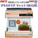 GEX グラステリア フィット 100CUBE【餌 えさ エサ】【観賞魚 餌やり】【水槽/熱帯魚/観賞魚/飼育】【生体】【通販/販売】【アクアリウム/あくありう...
