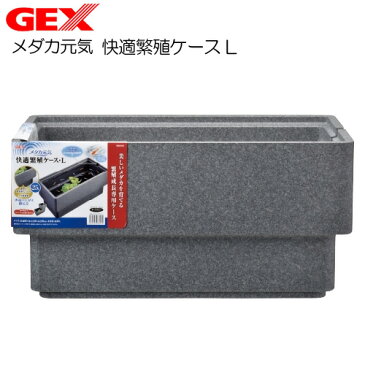 GEX　メダカ元気 快適繁殖ケース L【水槽/熱帯魚/観賞魚/飼育】【生体】【通販/販売】【アクアリウム】