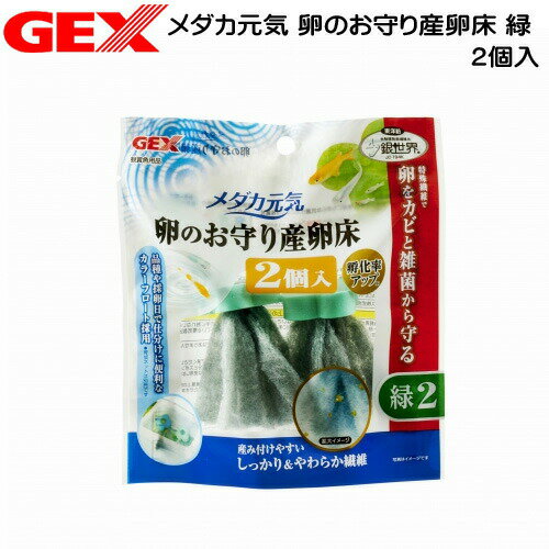 GEX　メダカ元気 卵のお守り産卵床　緑　2個入【水槽/熱帯魚/観賞魚/飼育】【生体】【通販/販売】【アクアリウム/あくありうむ】【小型】