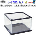 鈴木製作所 ガラス水槽 サイコロカメ M 255×255×174mm 【お取り寄せ品】