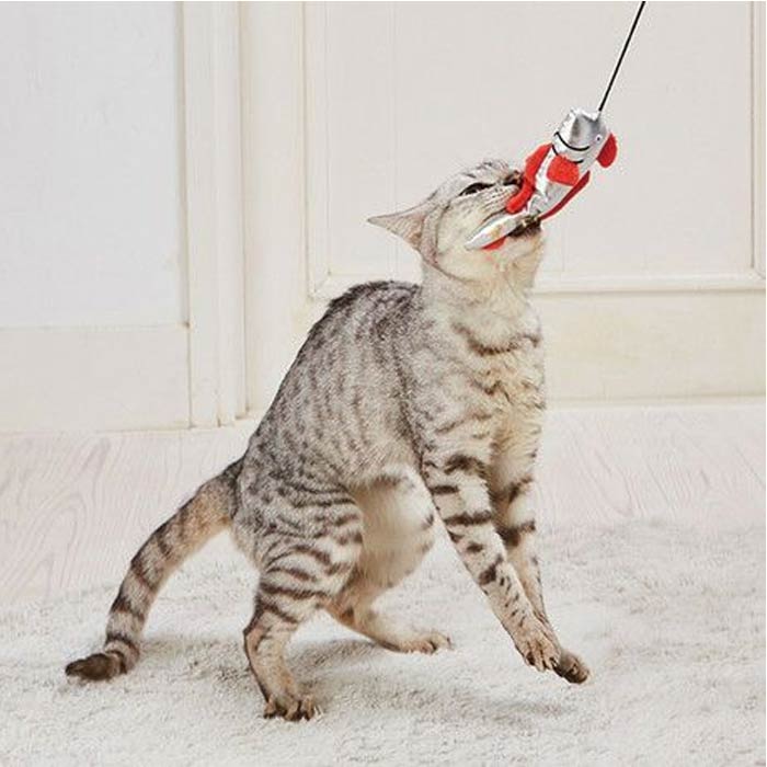 �ڥƥ��������ɥᥤ�ȡ����饭�餸��餷�����ʥ�奦�����Υĥ���