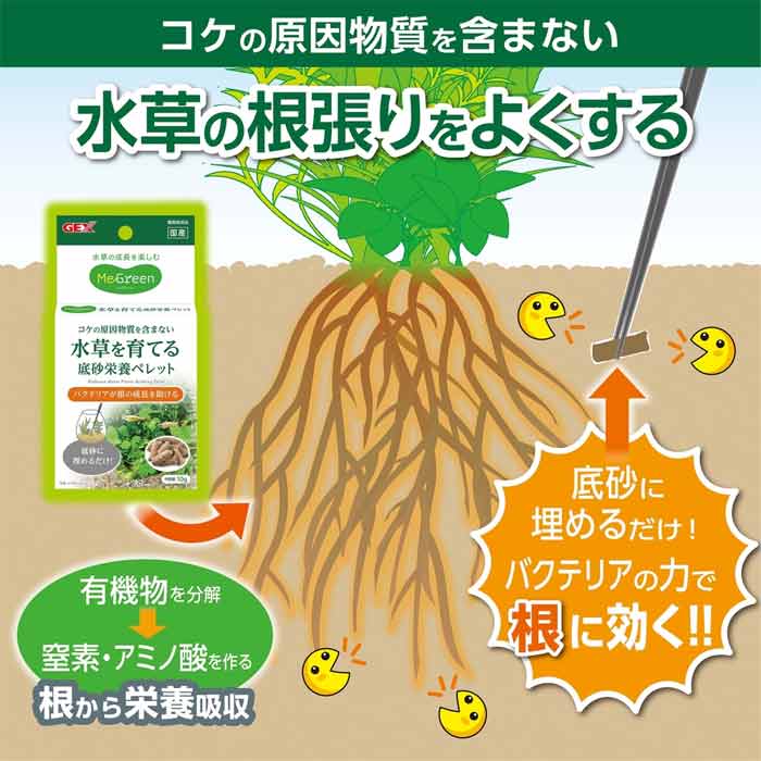 GEX��MeGreen ������Ƥ��캽���ܥڥ�å�