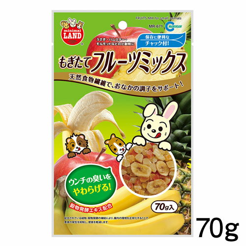 ネコポス290円マルカン もぎたてフルーツミックス 70g MR-671【おやつ/餌/えさ/エサ】【ハムスター/うさぎ/リス/モルモット】【小動物】