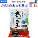 スドー メダカの大つぶ玉土 茶 5L S-5986
