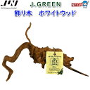 JUN　飾り木　ホワイトウッド　【取寄商品】