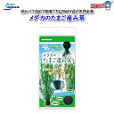 ニッソー NAP-590メダカのたまご産み草