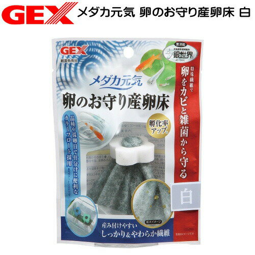 【日曜闇市】GEX　メダカ元気 卵の