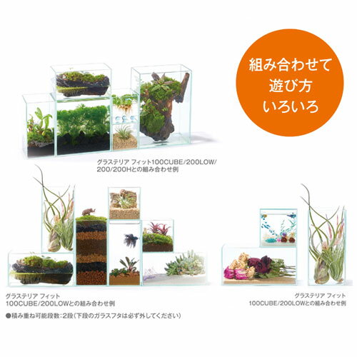 GEX　グラステリア　フィット　200LOW【餌 えさ エサ】【観賞魚　餌やり】【水槽/熱帯魚/観賞魚/飼育】【生体】【通販/販売】【アクアリウム/あくありうむ】 3