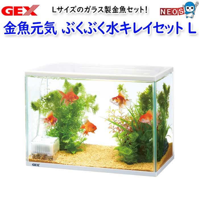 GEX　金魚元気 ぶくぶく水キレイセットL