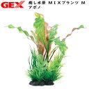 GEX 癒し水景 MIXプランツ M アポノ【水槽/熱帯魚/観賞魚/飼育】【生体】【通販/販売】【アクアリウム/あくありうむ】【小型】