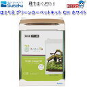 水作 ほとりえ グリーンカーペットキット CH ホワイト