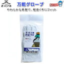 ジクラ　アギト　万能グローブ【水槽/熱帯魚/観賞魚/飼育】【生体】【通販/販売】【アクアリウム/あく ...