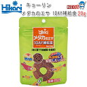 ネコポス290円キョーリン メダカのエサ 1DAY補給食 20g　【餌 えさ エサ】【観賞魚　餌やり】【水槽/熱帯魚/観賞魚/飼育】【生体】【通..