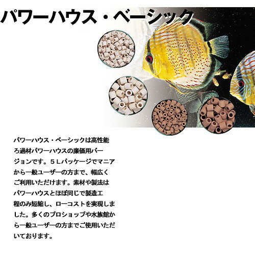 パワーハウス　ベーシック（ソフトタイプ）　S　淡水用　5リットル【取寄商品】　【水槽/熱帯魚/観賞魚/飼育】【生体】【通販/販売】【アクアリウム/あくありうむ】【小型】