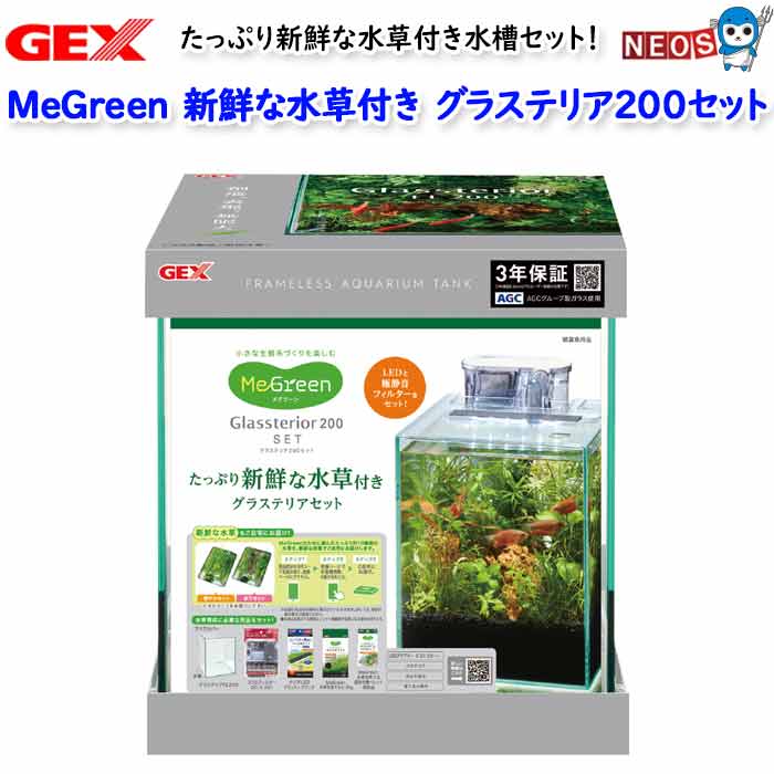 GEXMeGreen ʿդ饹ƥꥢ200å