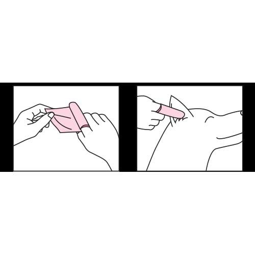 �ȡ��饹�������ȥ�ȥ롡�����������䡼 �����ȡ�30��
